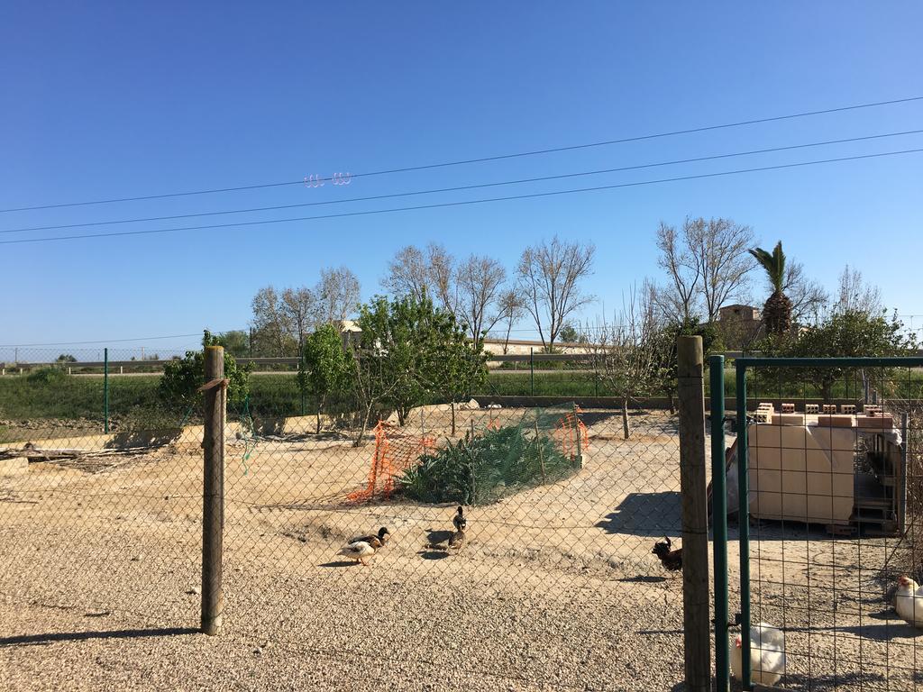 Caseta Les Creus Riumar Zewnętrze zdjęcie